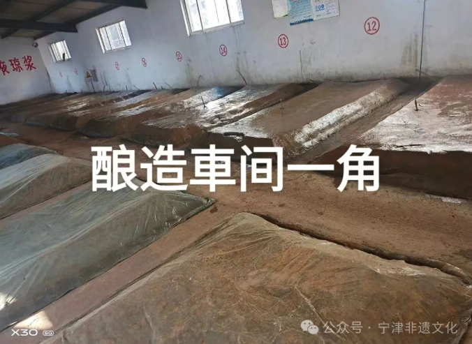 宁津县市级非遗白酒酿制技艺——津城酒